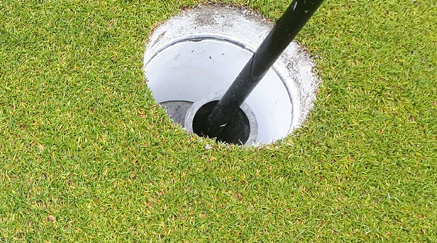 Antraknose på nordiske Poa annua-greener