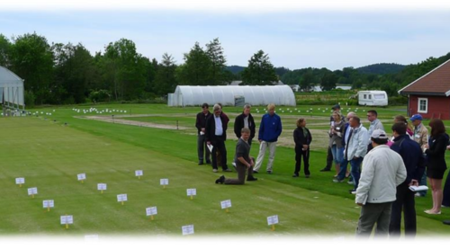 International Turfgrass Field Day and Seminar