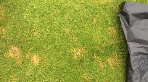 Autorisasjonsbevis for kjøp og bruk av plantevernmidler får forlenget gyldighet